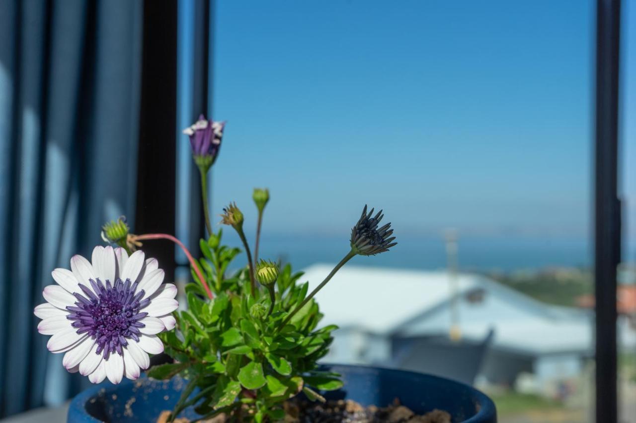 Blue Star Villa Tergniet Екстериор снимка